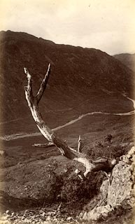 image, button to large image