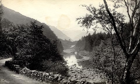 image, button to large image