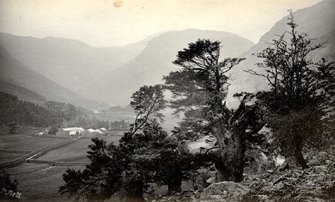 image, button to large image