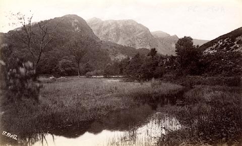 image, button to large image