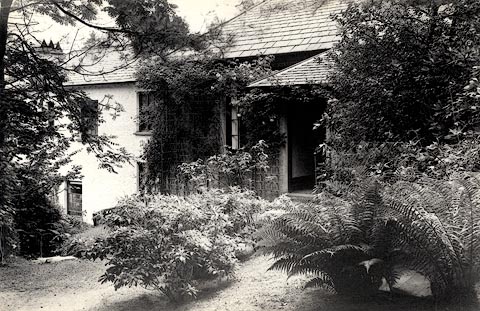 image, button to large image