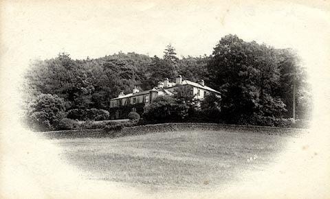 image, button to large image