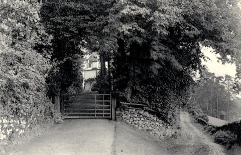 image, button to large image