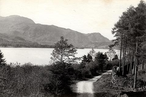 image, button to large image