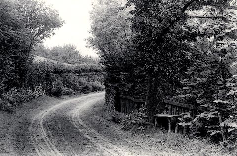 image, button to large image