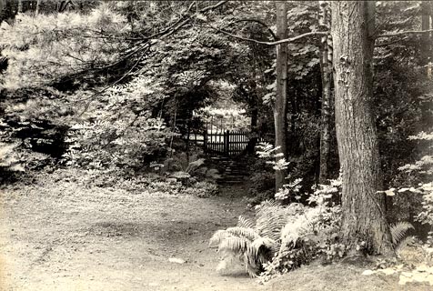 image, button to large image