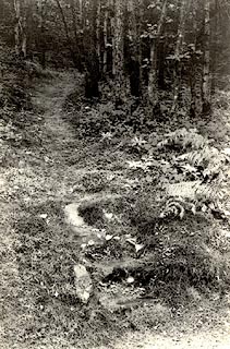 image, button to large image