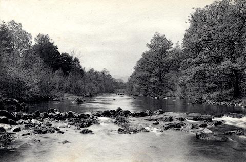 image, button to large image