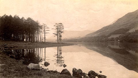 image, button to large image