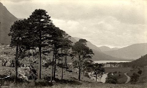 image, button to large image