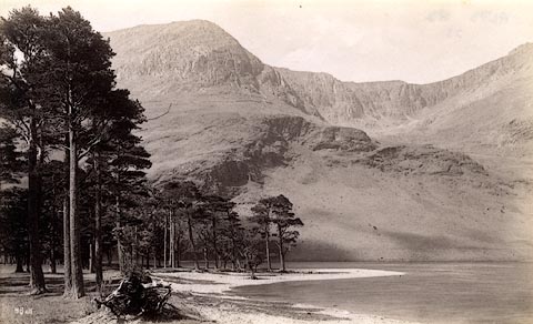 image, button to large image