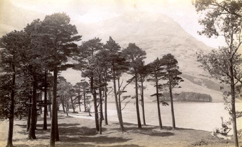 image, button to large image