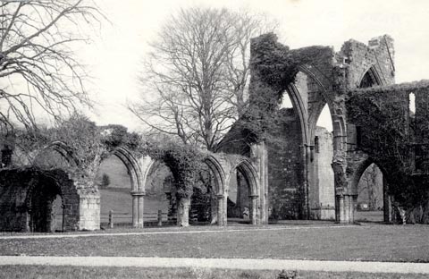 image, button to large image