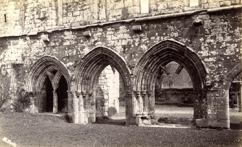 image, button to large image