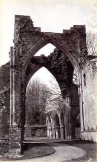 image, button to large image