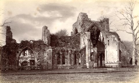 image, button to large image