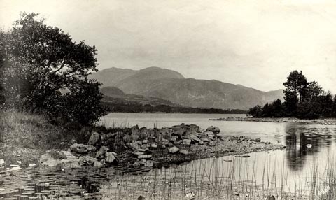 image, button to large image