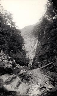 image, button to large image