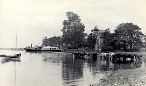 image, button to large image