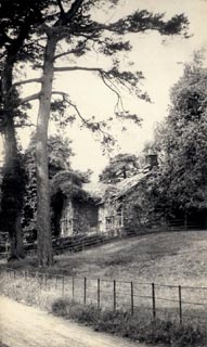 image, button to large image