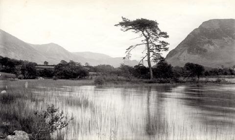 image, button to large image