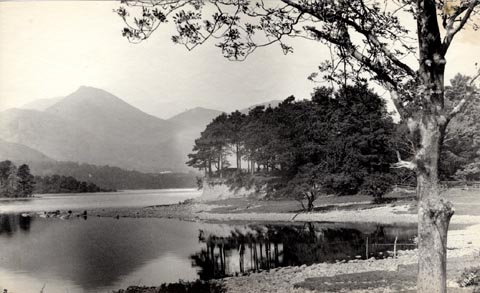 image, button to large image