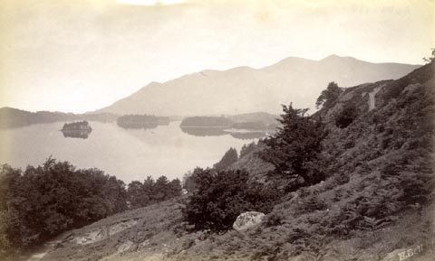 image, button to large image