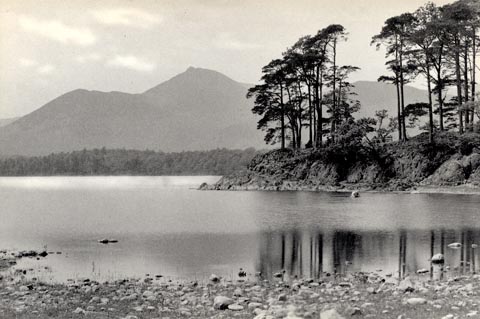 image, button to large image