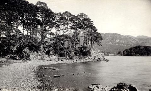 image, button to large image