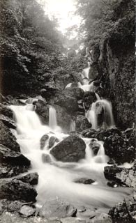 image, button to large image