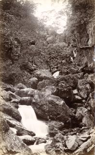 image, button to large image