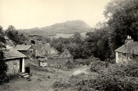 image, button to large image