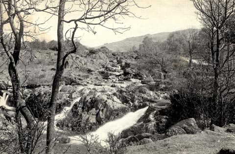 image, button to large image