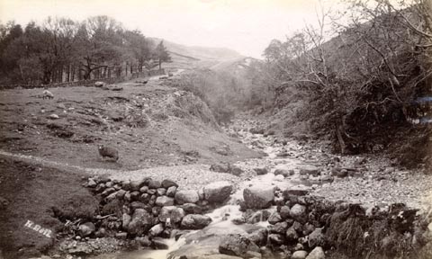 image, button to large image