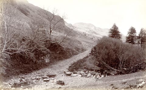 image, button to large image