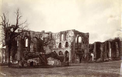 image, button to large image