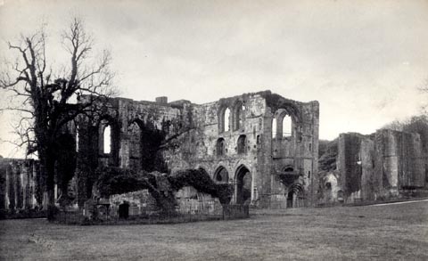 image, button to large image