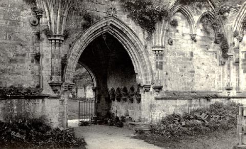 image, button to large image