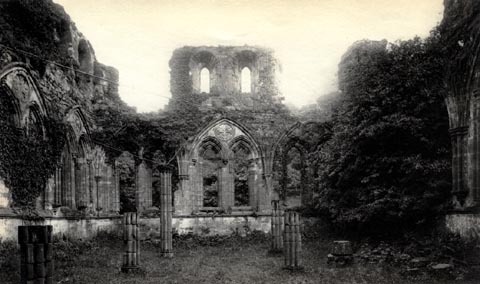 image, button to large image