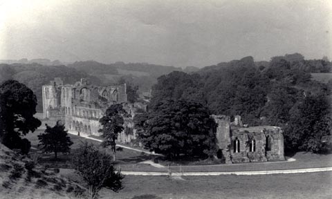 image, button to large image