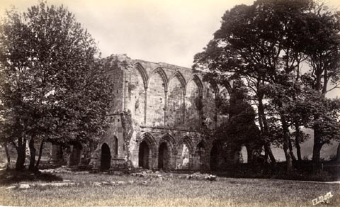 image, button to large image