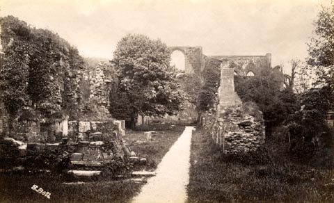 image, button to large image