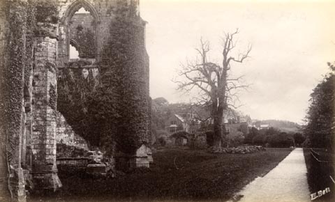 image, button to large image