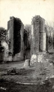 image, button to large image