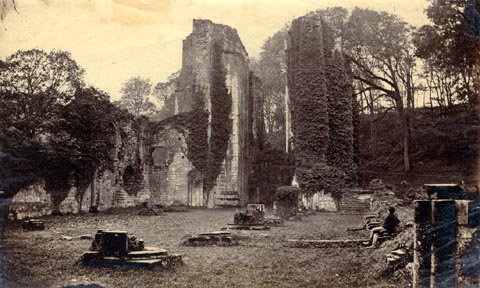 image, button to large image