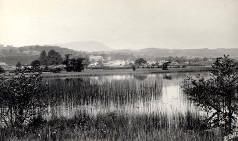 image, button to large image