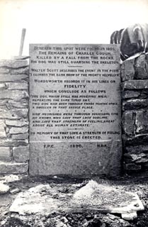 image, button to large image