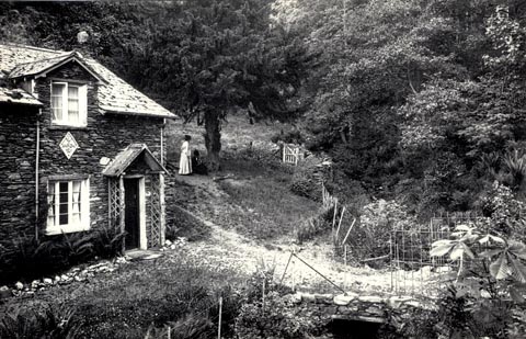 image, button to large image