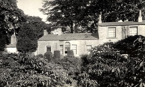 image, button to large image