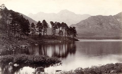 image, button to large image